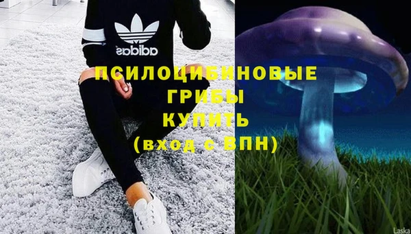 марки lsd Осташков