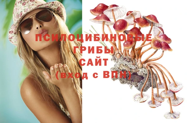 марки lsd Осташков