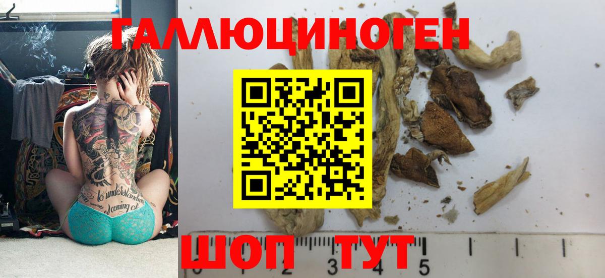 Псилоцибиновые грибы GOLDEN TEACHER Миллерово