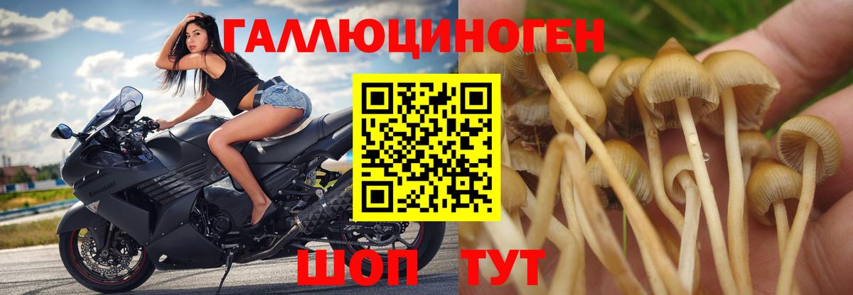 Галлюциногенные грибы Magic Shrooms  Вход с VPN  Миллерово 