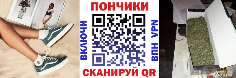 цены наркотик  Миллерово  Шишки марихуана сатива 